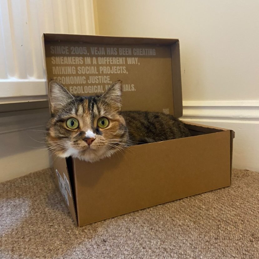 vejaproject's tweet image. VEJA &amp;amp; Pets 🐾​
#VEJA #sneakers #animals