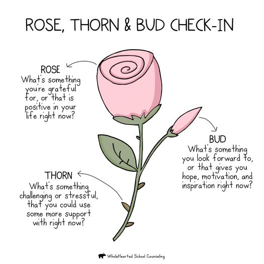 ❤❤❤Happy Valentine's Day! Show yourself or your colleagues some love with this Rose, Thorn &amp; Bud check-in by <a href="/WholeHeartedSC/">WholeHearted School Counseling</a> (shared to me via the #PNA psychological boost sessions). I've used it several times while delivering #RCS in practice; it's one of my favourites 🌹