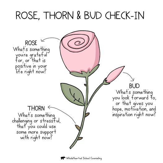 ❤❤❤Happy Valentine's Day! Show yourself or your colleagues some love with this Rose, Thorn & Bud check-in by @WholeHeartedSC (shared to me via the #PNA psychological boost sessions). I've used it several times while delivering #RCS in practice; it's one of my favourites 🌹