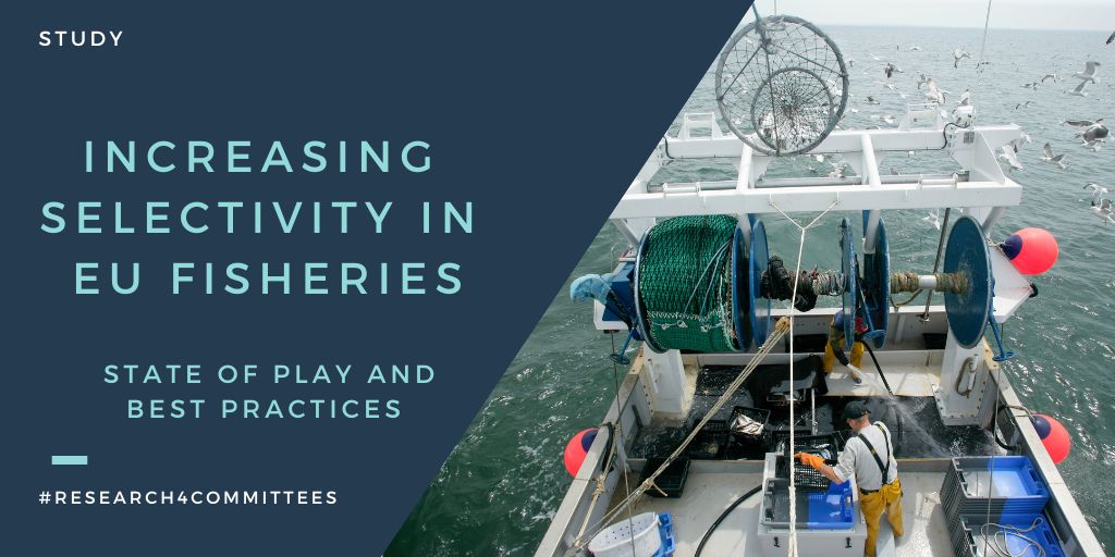 Among the best practices identified: 👉 strong collaborations with #fishers, 👉 building trusting transparent and long-term relationships, 👉 promoting bottom-up initiatives, and 👉 providing the right incentives for such initiatives More: bit.ly/4bDPuaS