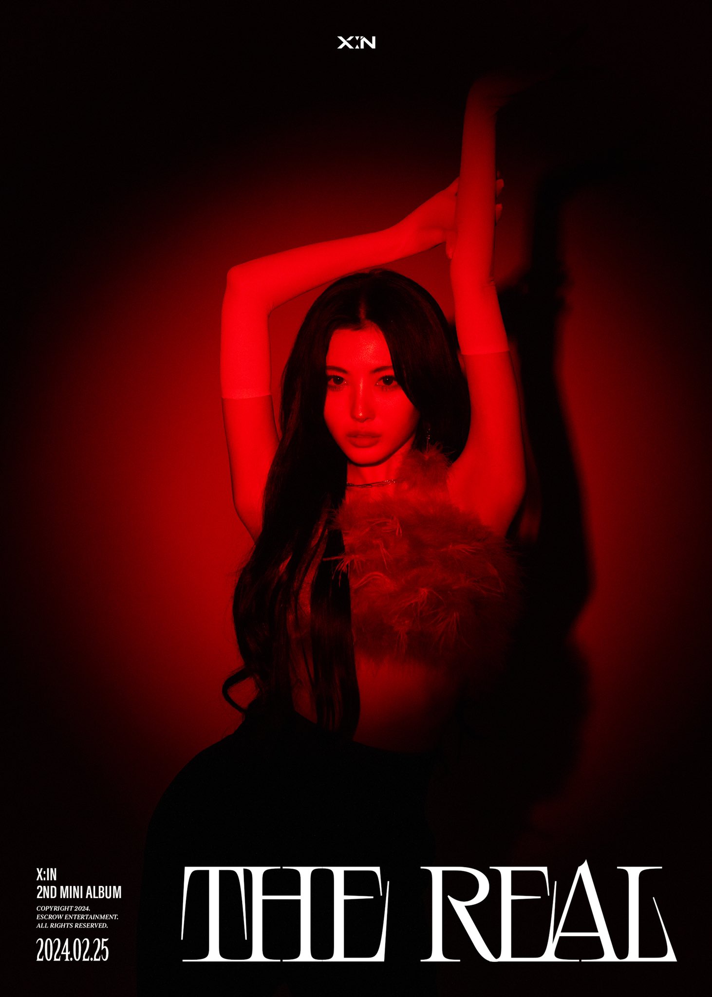 GGSZyXsbgAA6pAk?format=jpg&name=large