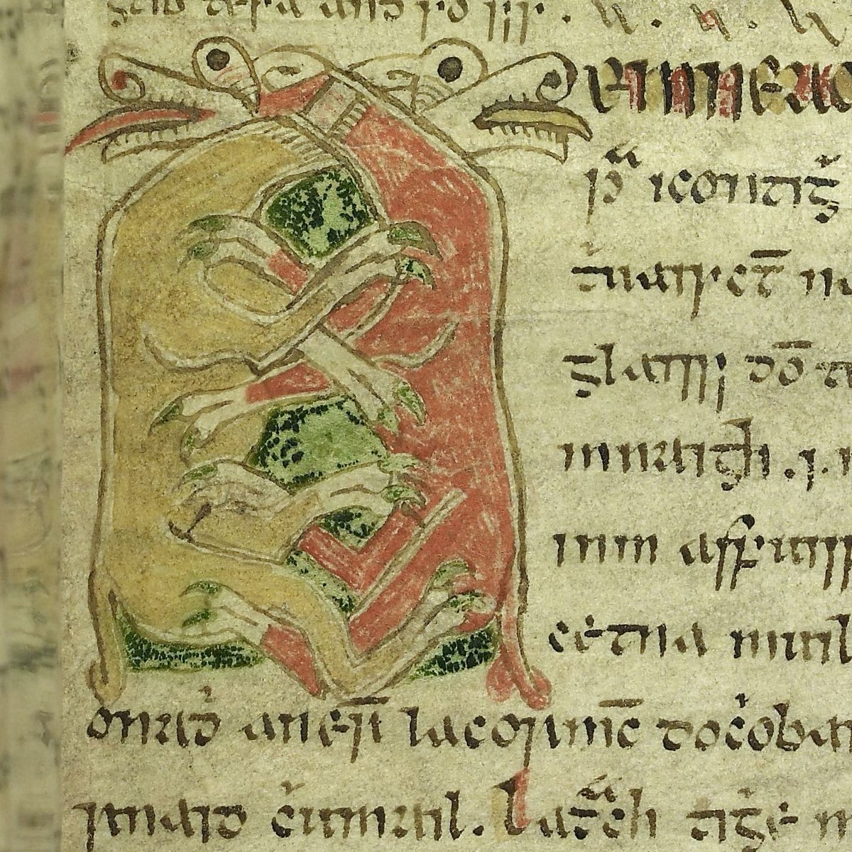 💕💕💕Happy #ValentinesDay to all of our followers! Don't settle for anything less than being held in the tender, loving claws of a 16th century manuscript beast. 💕💕💕

(Dindshenchas, RIA MS D ii 2)
#LibraryLoversMonth