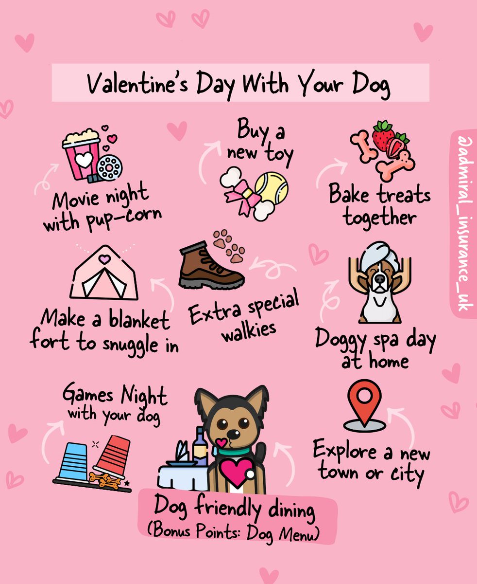 Dog Furiendly tweet media