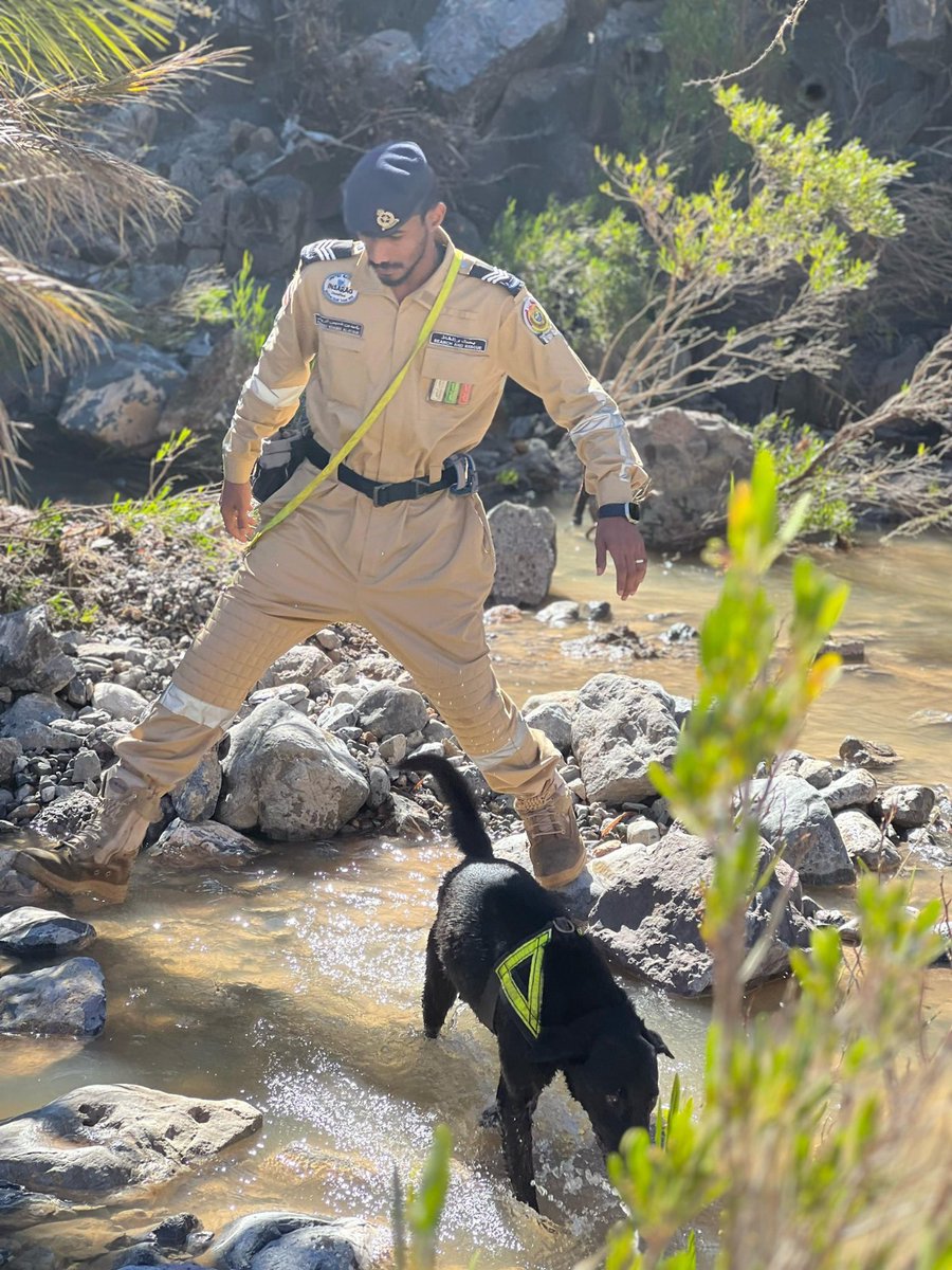 العربية - سلطنة عُمان tweet media