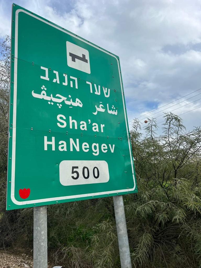 matan tzuri מתן צורי tweet media