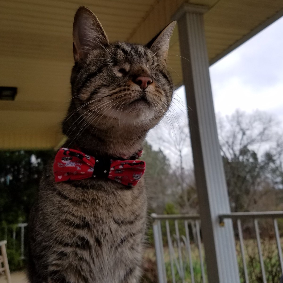 Don't ever forget that you are loved beyond measure. Love is the only thing worth sharing. ❤️❤️ #HappyValentinesDay