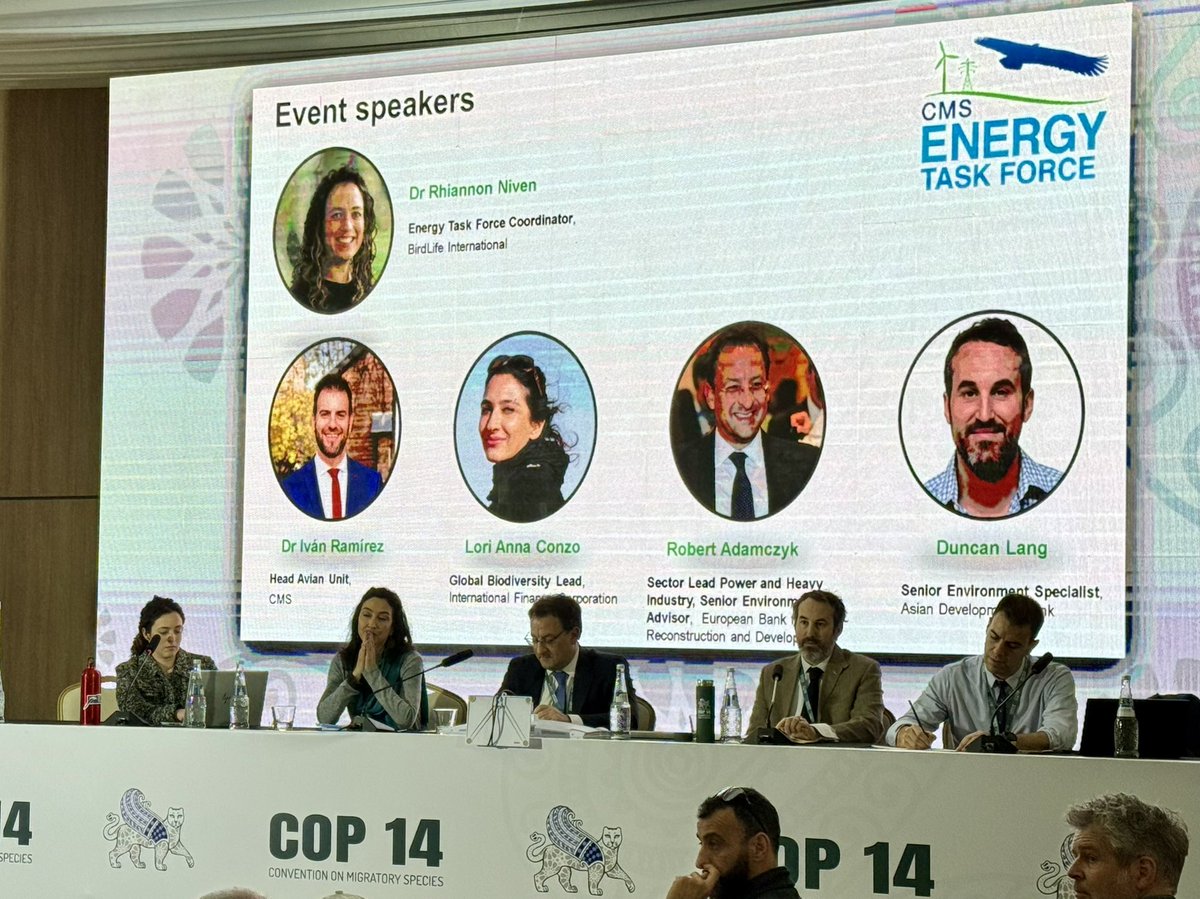 BirdLife_Policy's tweet photo. Experts from international financial institutions @ADB_HQ @EBRD & @IFC_org highlight benefits of engaging with Parties & other stakeholders in @BonnConvention #EnergyTaskForce, & coordination to uphold standards, to mitigate impacts of #renewableenergy on biodiversity #CMSCOP14 https://t.co/gjmYlcq0pW