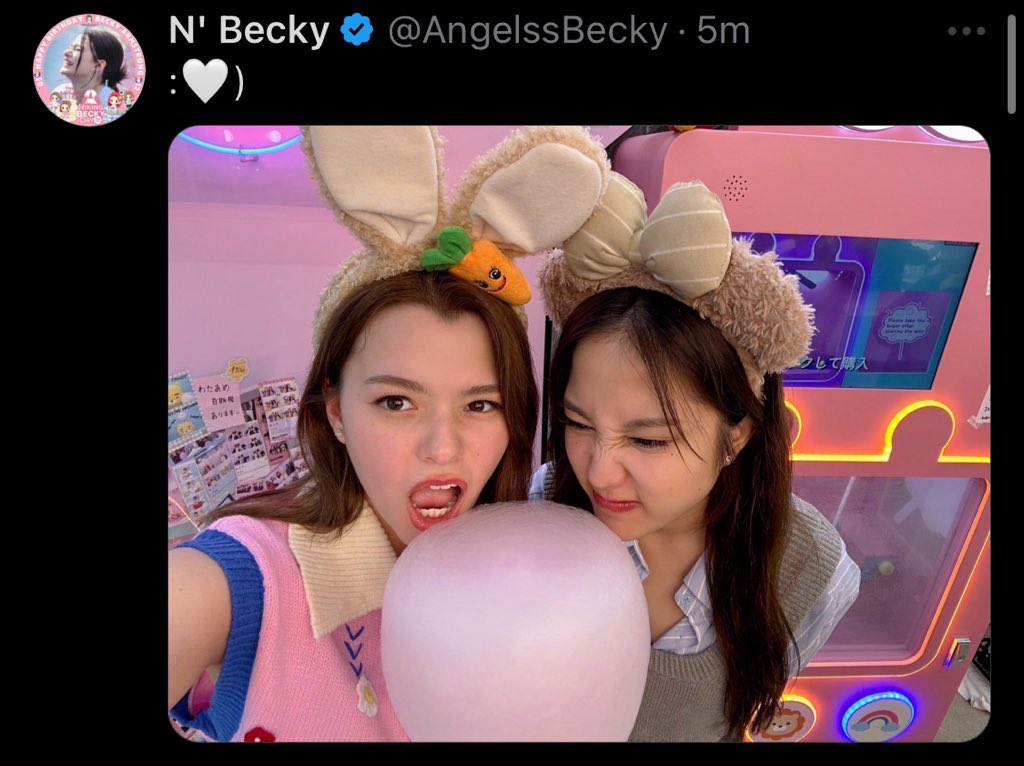 Piyo_Shirley🐣🦈⸆⸉ tweet media