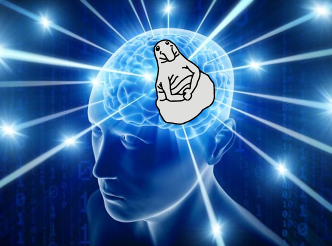 Only think about Wosh !
#wosh #memecoin #BTC #Crypto