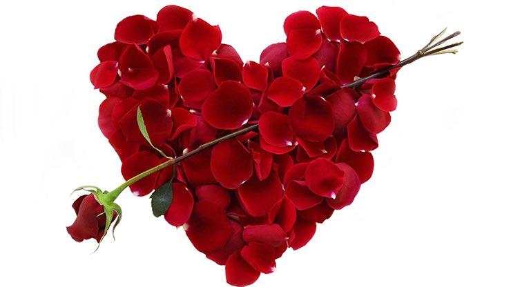 mikebamiloye's tweet image. NIGHT OF FUN AND DAY OF DEATH
#mikebamiloye
Tomorrow evening is Valentine! 
A &apos;Night of Fun&apos;, when many men and ladies will slaughter their destinies on the bed of lustful pleasure. 
By next morning it is done! 
Destiny Auctioned to a young man or a lady whose future has been…