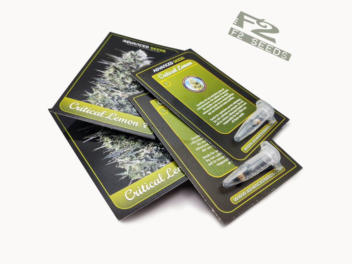 F2seeds_pl's tweet photo. Gratisowe Critical Lemon 💚♥️ od @AdvancedSeeds 🔝
✅Odmiana dodawana za 🆓 do Waszych zamówień!
✅Popularna odmiana marihuany 💚
✅Ceniące sobie aromatyczne, smaczne i przewidywalne w uprawie konopie 🌱
✅Więcej➡️https://t.co/59tlZaoQ0n
#AdvancedSeeds #F2seeds #gratis #420day https://t.co/72dVe5VhhC