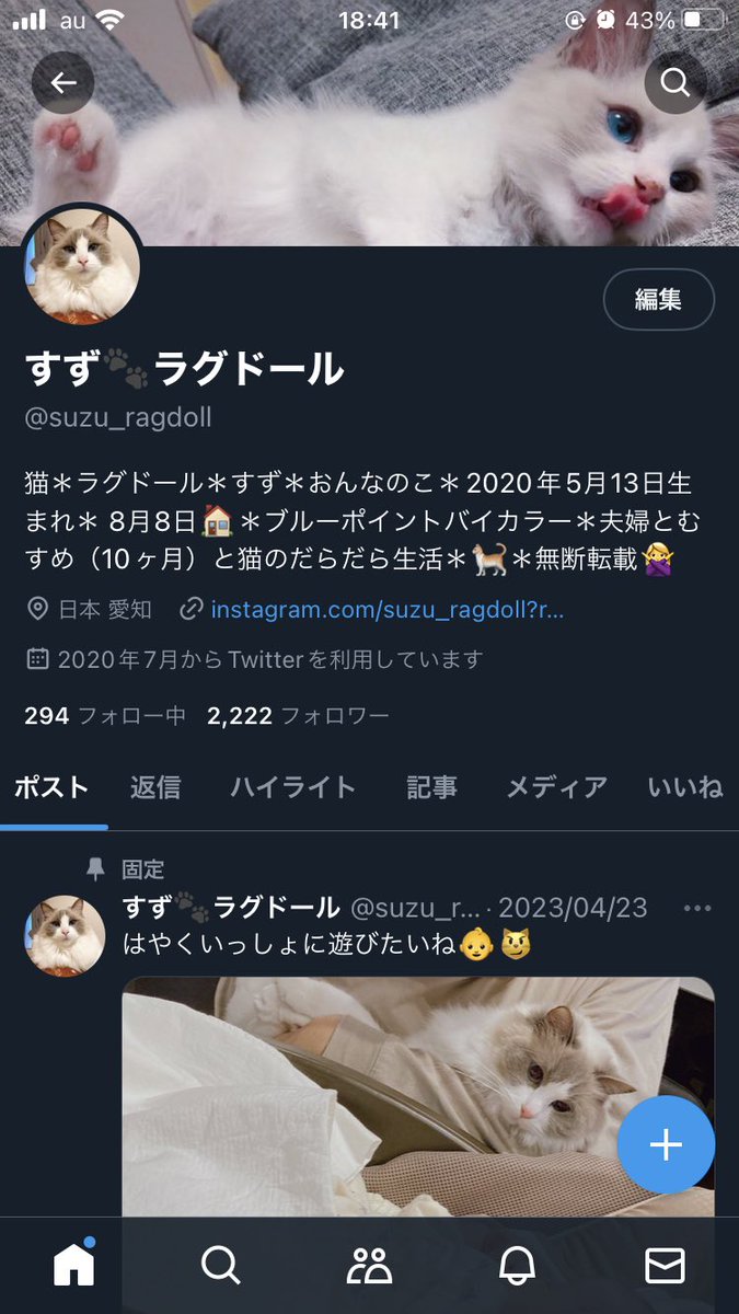 suzu_ragdoll's tweet photo. フォロワーさん2222！
ありがとうございます🐈 https://t.co/HQamXEClrd