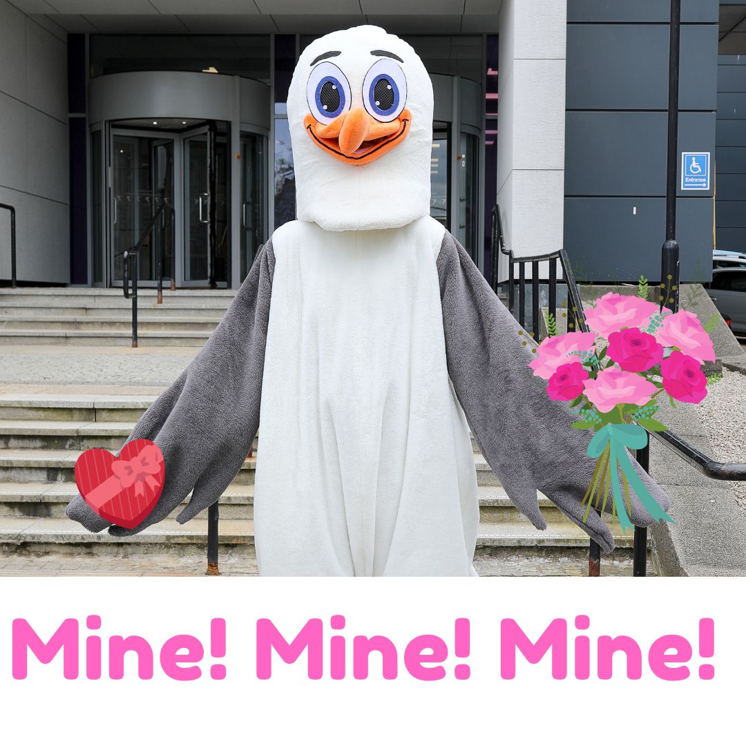 NESCol Students' Association tweet media