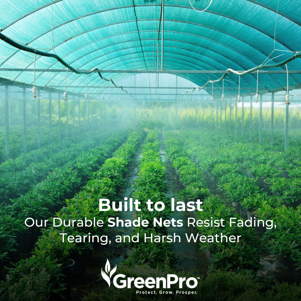 GreenPro_India's tweet photo. Keep your outdoor spaces cool, protected, and thriving with GreenPro's high-quality shade nets. Our nets are built to last, resisting fading, tearing, and even harsh weather conditions.

https://t.co/HRhFl8t1ad

#shadenet #greenhouse #durablenets #patios #farmers #greenpro https://t.co/W9ePDA1M19