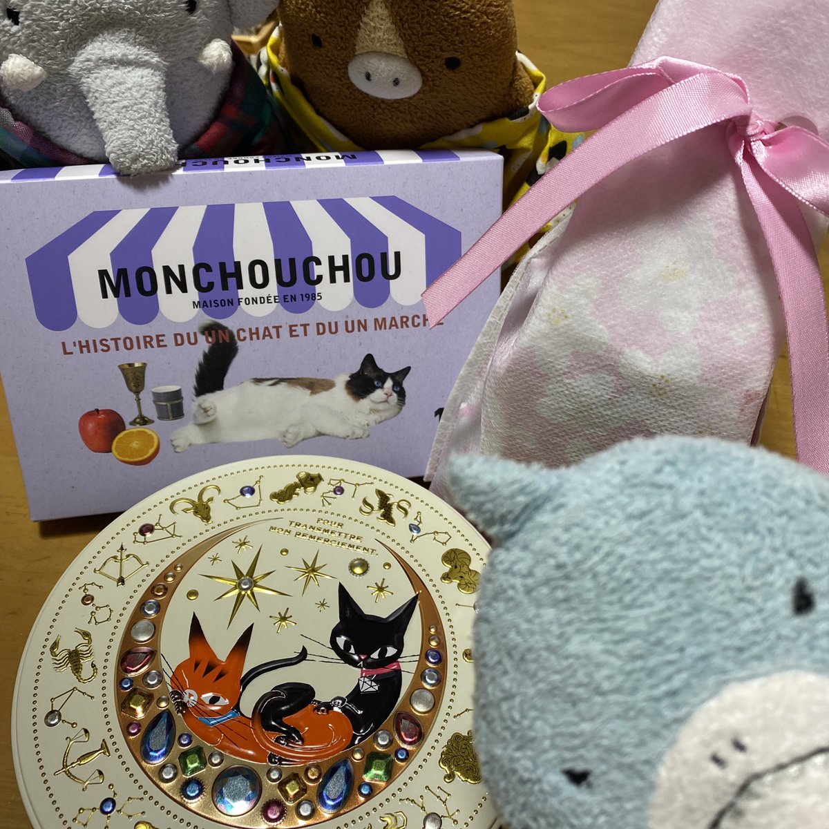 シャウ🦈モテモテ❤️