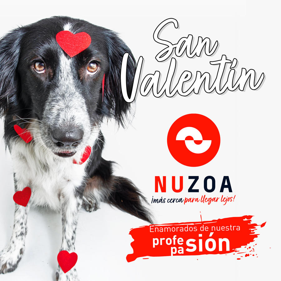 ¡Desde <a href="/Nuzoa_/">Nuzoa</a> queremos desearos un Feliz #SanValentin! ❤️ 
¡En #Nuzoa estamos enamorados de nuestra profe/pa-sión! Que no es otra que daros el mejor servicio posible, en lo que trabajamos día a día para conseguirlo.

#SomosNuzoa #PasionxProfesion #DiaDeLosEnamorados #Veterinaria