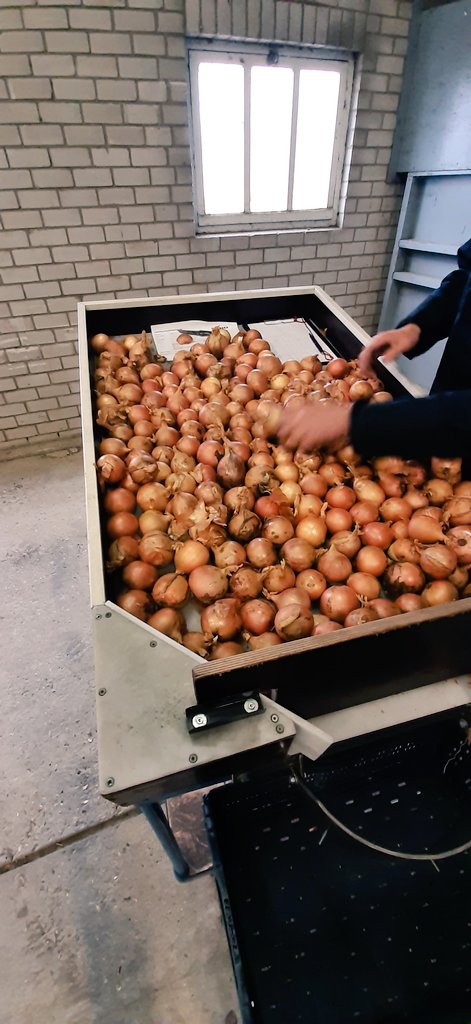 Luc Remijn tweet media