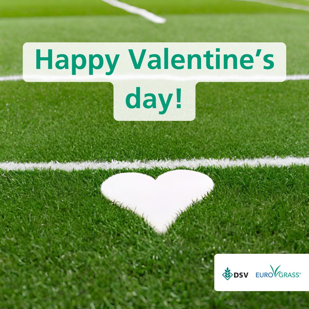 Love is like maintaining a perfect sports turf - it requires dedication, attention to detail, and a whole lot of TLC. Happy Valentine's Day to all the turf managers and sports enthusiasts spreading love on and off the field! ❤️🌱⚽️ #TurfLove #ValentinesDay #SportsPassion