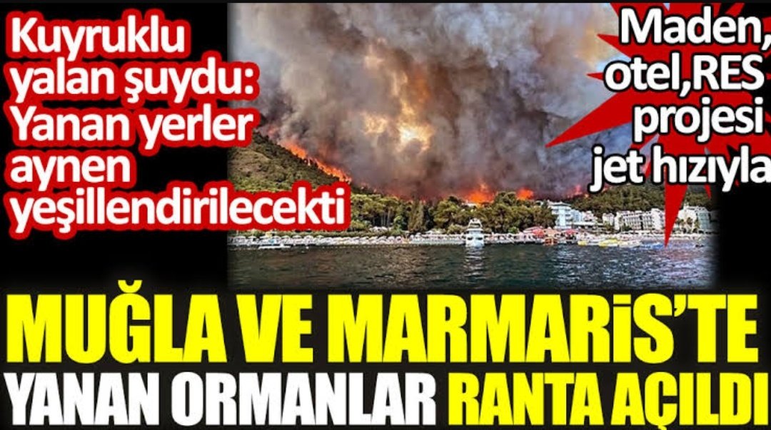 Çevre ve şehircilik bakanlığına doğayı katletmek için gelmiş!Şimdi de İstanbulu katletmek için aday! #YerelSeçimFelaketinizOlacak Yalan #siyanür Çalık #erzincanilic Kanal İstanbul #16MilyonEmekliNet #benzin #SevgililerGünü Pandora Sevimsiz