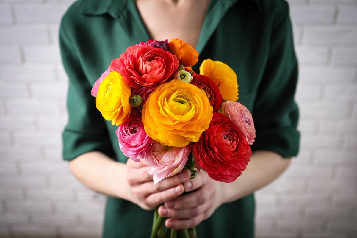 Vous avez prévu d'offrir des roses rouges 🌹 pour la #SaintValentin 💘 ? Si vous êtes (un peu) écolo, évitez ! Préférez des fleurs de saison : anémones, renoncules, mimosa, muflier, tulipes, camélias, giroflées… le choix ne manque pas 👉 pulse.ly/lzktyjyfz4

@LauraHendrikx2