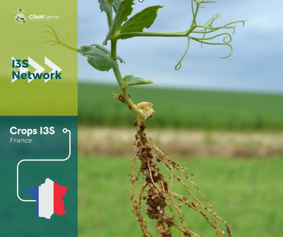 🌱 The I3S of #arablecrops in Southwest of France will have the Demonstration Farm, 7 Lead Commercial Farms, and about 100 outreach farms. Learn about their solutions 👉 buff.ly/3PT5iNP