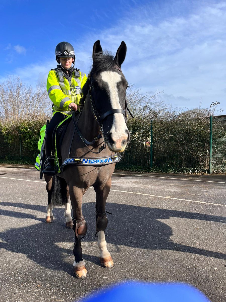 Handsome boy Blaise is ready and raring for a local mounted patrol in Clevedon! 🐴👮🏼‍♀️ #mountedpatrols #smartboy