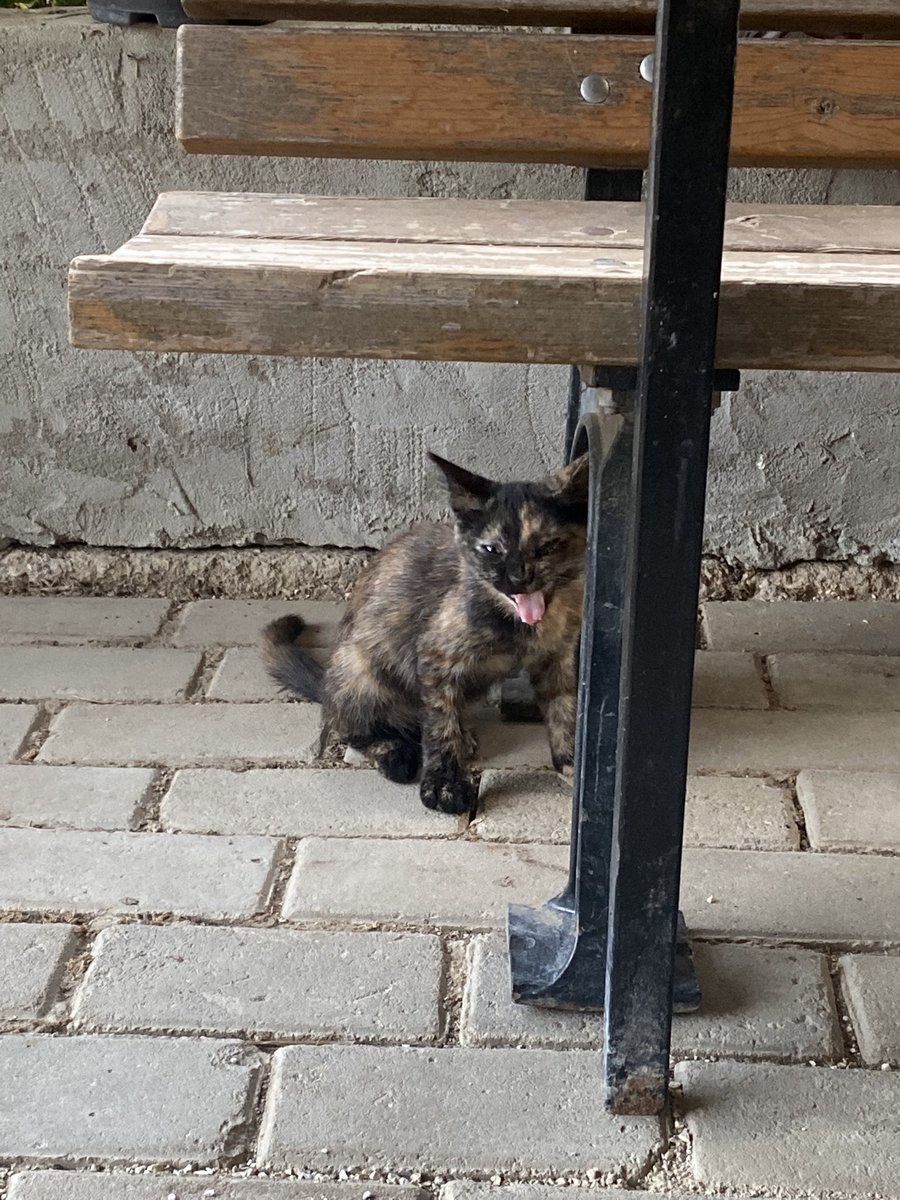 Kendine aşık etmek için yaptığı hareketlere bak inanılmaz