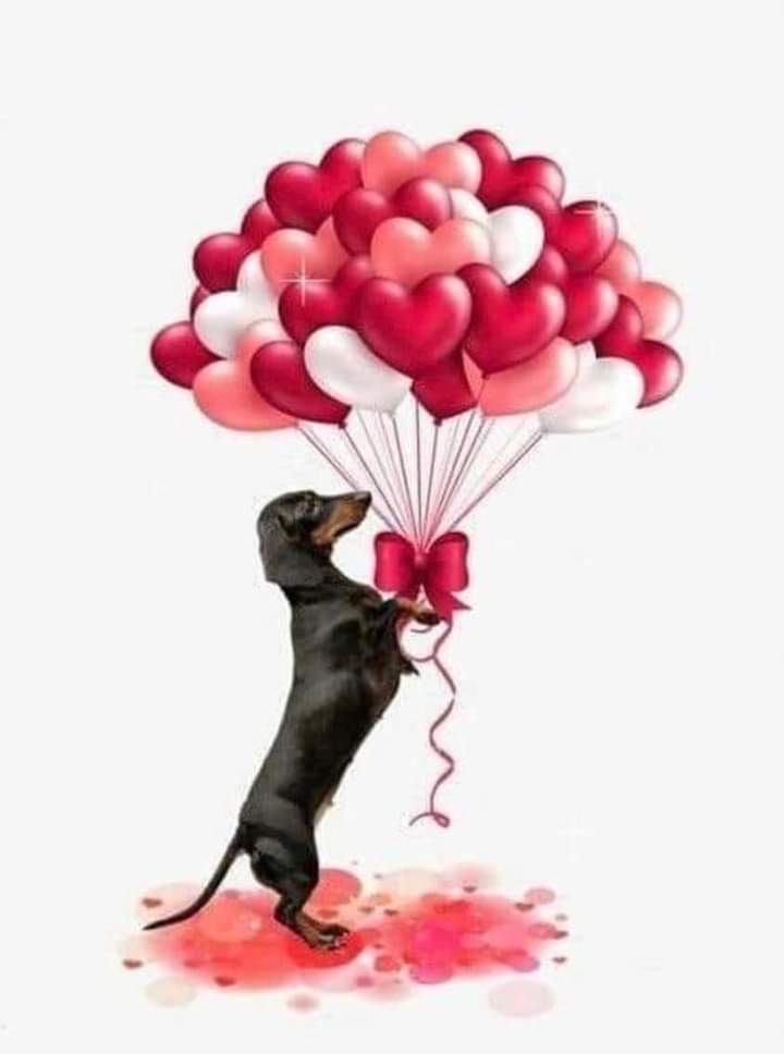 anitaramrod's tweet photo. Feliz #DiaDelAmorYlaAmistad https://t.co/iUlFLU5e2h