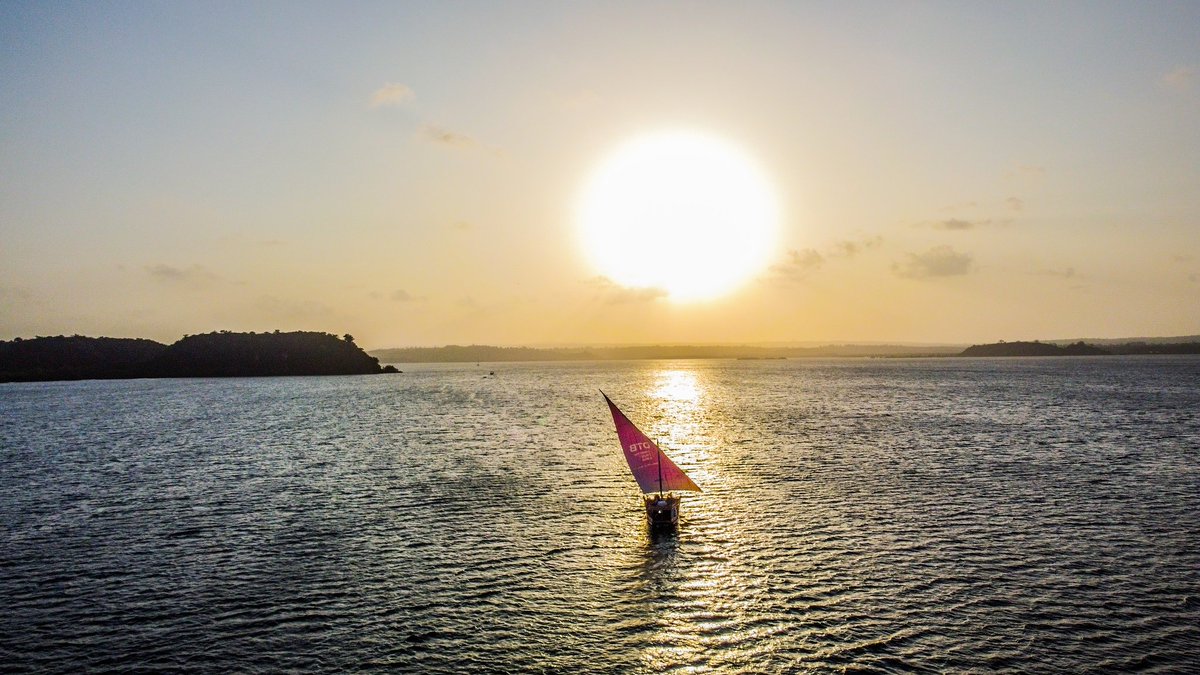 Stephanie tweet media