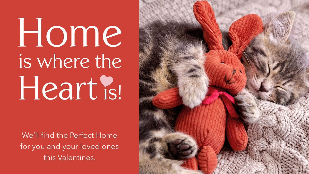 intouchdisplay tweet media