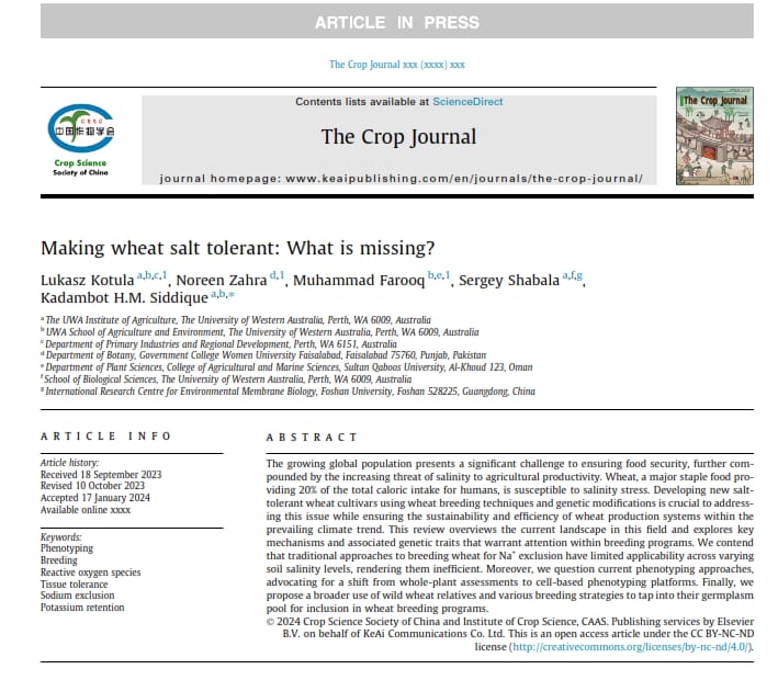 Making #wheat #salt #tolerant: What is missing? In this review,we @IOA_UWA @UWAresearch question current #phenotyping approaches, advocating for a shift from whole-plant assessments to cell-based phenotyping #platforms. sciencedirect.com/science/articl…