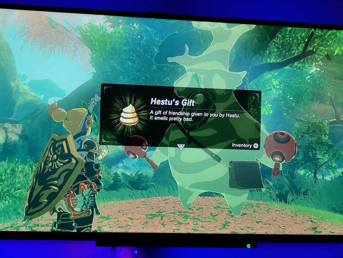 NintendoDundee's tweet photo. Gaming flex. Collected every single Korok seed 💪 now I can finally start playing tears of the kingdom! https://t.co/kR6hq6mfvI