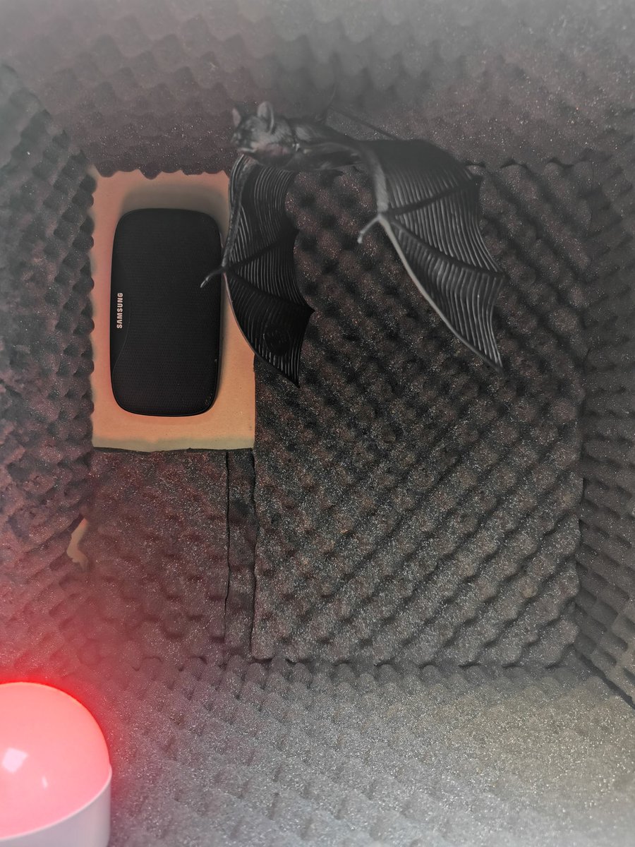 NVC group tweet media