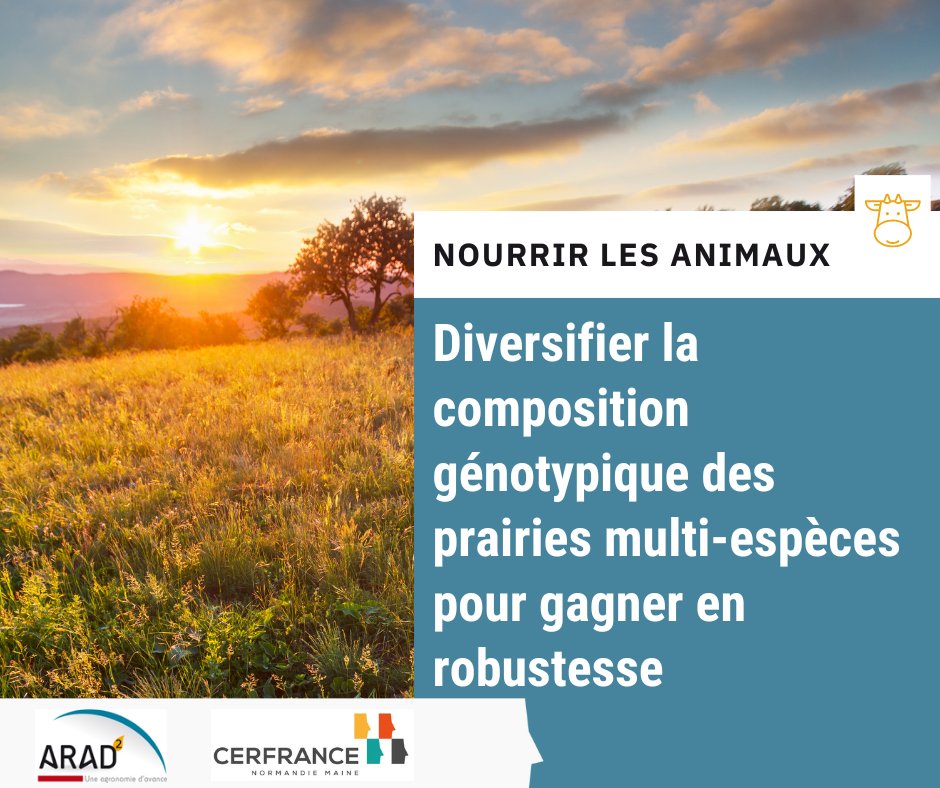 [NOURRIR LES ANIMAUX] Diversifier la composition génotypique des prairies multi-espèces pour gagner en robustesse. ☘️🐄

Pour en savoir plus sur l'intérêt des prairies multi-espèces et multi-variétés : 
➡️normandiemaine.cerfrance.fr/arad2/prairies…

@Cerfrance_sn <a href="/Cerfrance_5372/">Cerfrance Mayenne-Sarthe</a> <a href="/CerfranceOrne/">Cerfrance Orne</a>