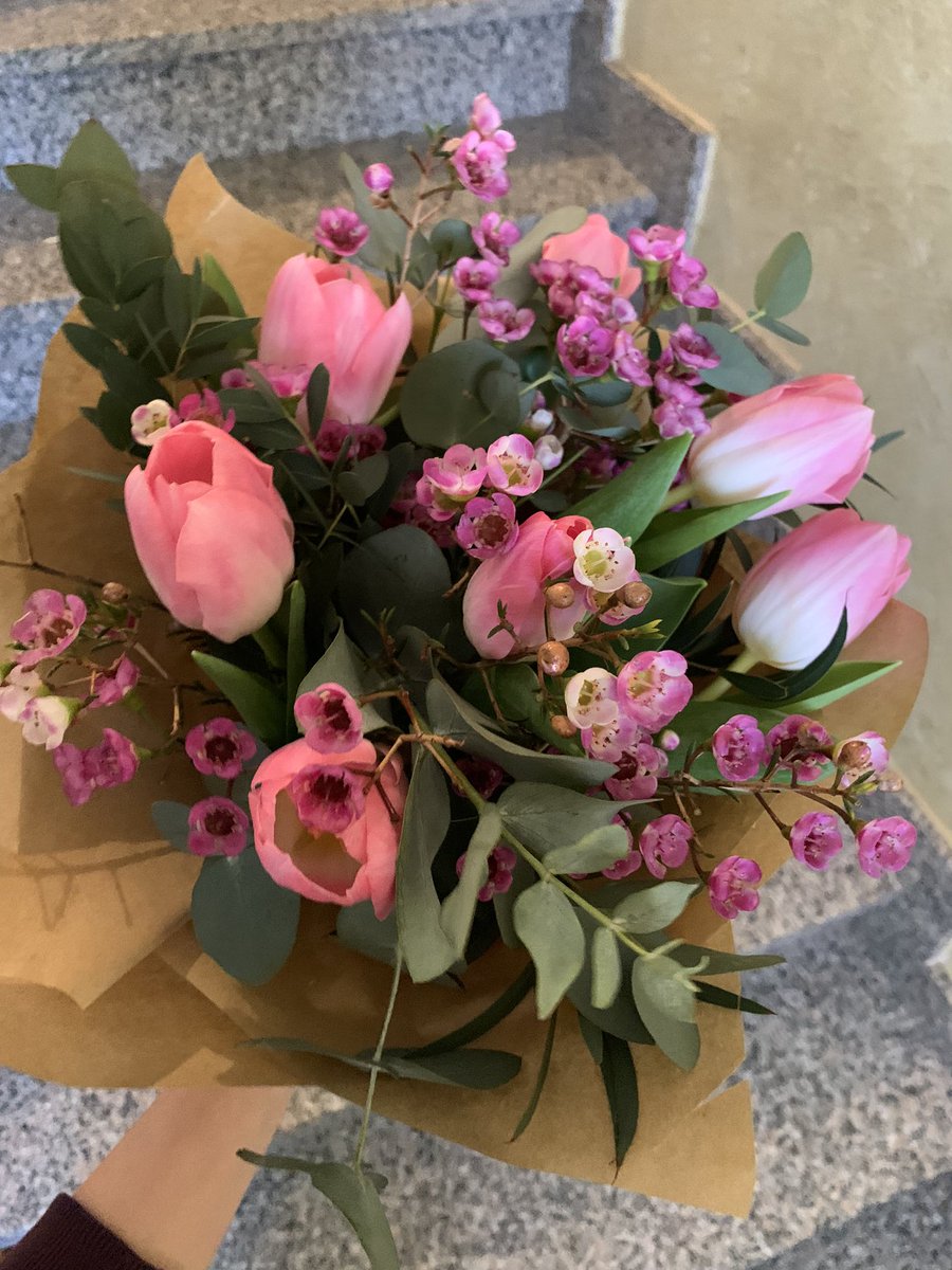 sinopolimariaf's tweet photo. per me solo tulipani 🫶🏻🫶🏻🫶🏻💘💘💘 https://t.co/IpWNJ2jq8T