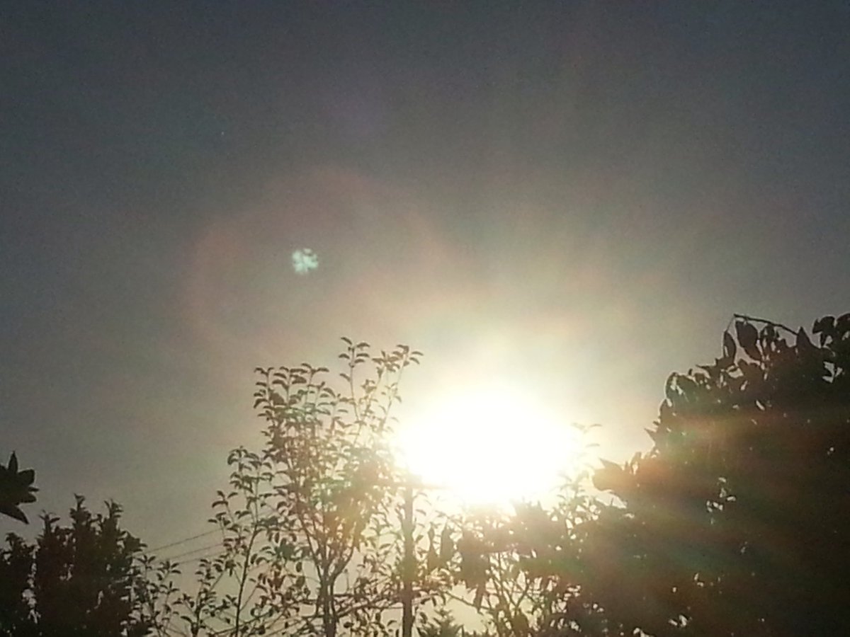 Reginas Tierrettung Preveza Griechenland 🐱 (@zaubermaus57) on Twitter photo 