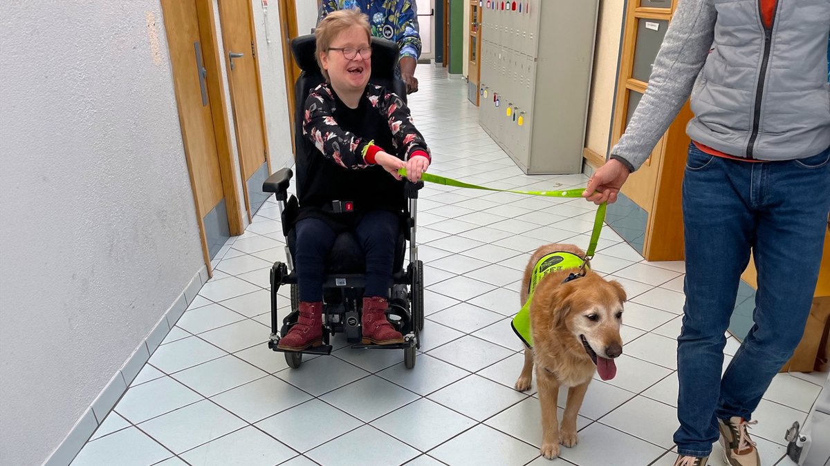 Kare_IRL's tweet photo. Our #MEmonth activities continued in Naas this week with a visit from Isaac, @IrishGuideDogs Ambassador 🐶
Spending time with animals has been shown to enhance wellbeing and Isaac received a very warm welcome, reminding us of the power of connection💜
#FacesOfKare https://t.co/HLvRBvuwLh