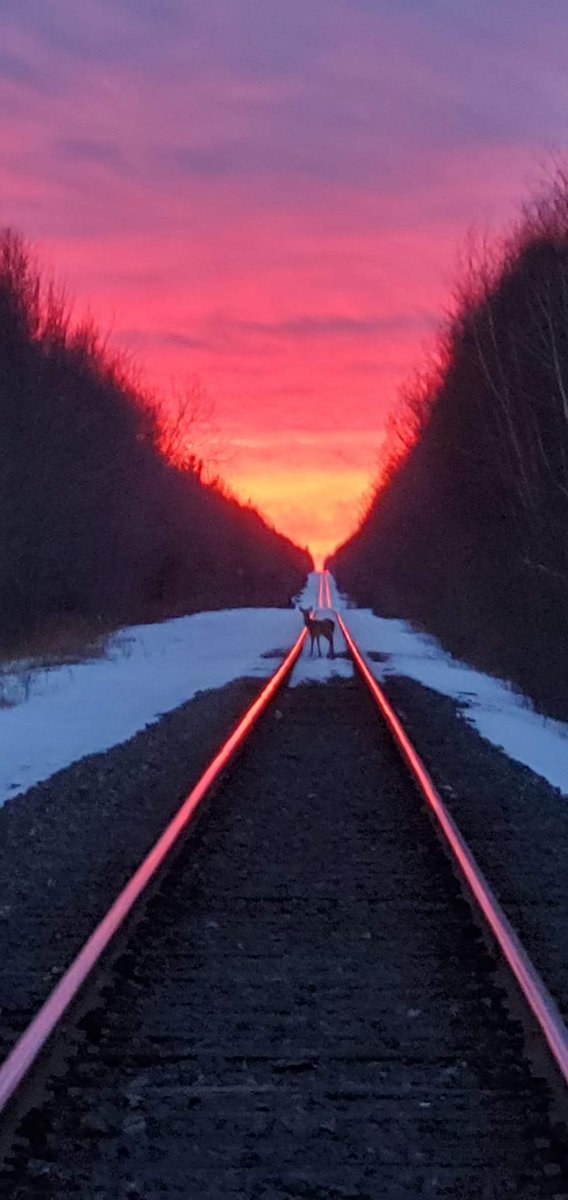 rescue4firefigh's tweet photo. @thewrightpage Good Morning! Julia @InfoAMSJ Have an awesome day! I am on the road again delivering the news  📰 https://t.co/fLlePbJARP