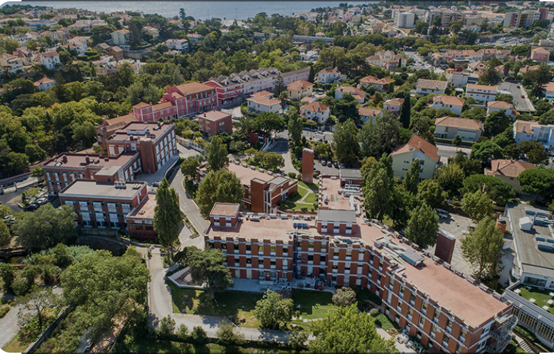 👉Job alert! 2 weeks left to apply for a Postdoc position in our #ERC StG team in ☀️Lisbon to study how #metabolic traits affect #biodiversity-stability relationships in #phytoplankton. Job info here: euraxess.ec.europa.eu/jobs/187955