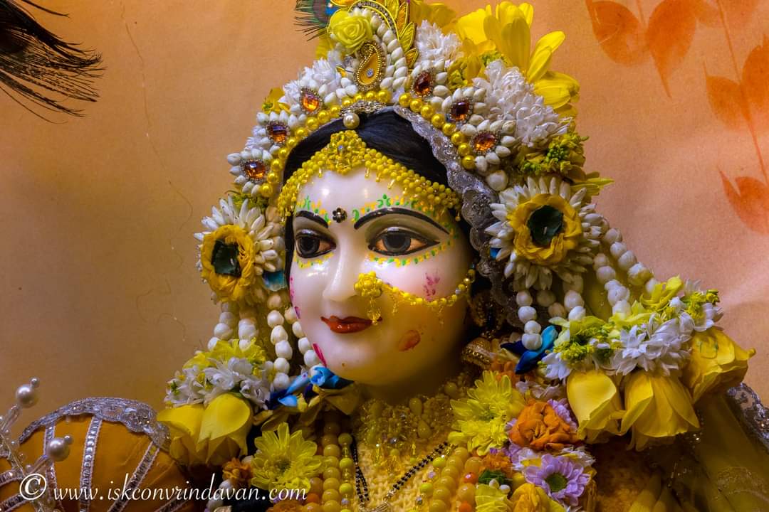 theholy_monk's tweet photo. Radha Shyam Sundar 🏵️💐🫐🍊 https://t.co/Mp2eGPB8Oo