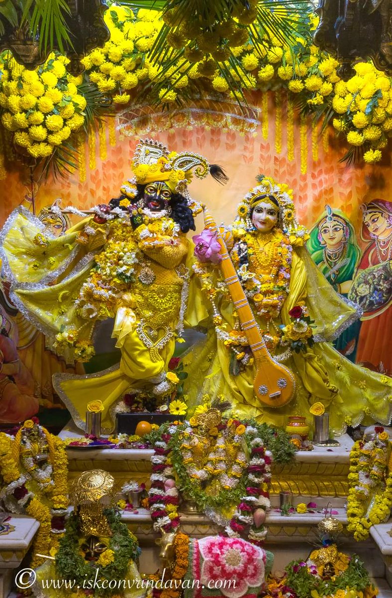 theholy_monk's tweet photo. Radha Shyam Sundar 🏵️💐🫐🍊 https://t.co/Mp2eGPB8Oo