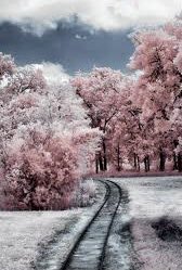 🌹✿MARINA✿🌹 (@vibumarina_2) on Twitter photo #STARTSFOLLOW🌞
#EliFriends
<a href="/florchicana/">Selene 𝕏🖤Perfectly imperfect 🖤❌DM❌</a>
<a href="/Da__Eliz/">Eli👸</a>
<a href="/Ines1466/">🌟🌊Estrella De Mar 🌊🌟🌊</a>
<a href="/h11437074/">Khalil Hassan</a>
<a href="/EvilDoma/">𝐿𝑖𝑛𝑑𝑠𝑎𝑦=that tiny human</a>
@EMAHLY
<a href="/vipdivaX/">A garota do lado de lá.</a>
<a href="/glmsjd/">𝑺𝒂𝒋𝒋𝒂𝒅 ✨</a>
@homemmorcego
@ho88_sh
<a href="/Firefly13X/">QueenLG</a>
<a href="/ba11love/">BA_Dreamer ✌️💙 #IMAGINEPEACE 💞💃🕺⚘️💫🐬</a>
<a href="/B_Brusau/">⚜ Bárbara ⚜</a>
<a href="/Zeno_Mello/">🇧🇷Zeno_Mello🇧🇷</a>
<a href="/AbidinBoryta_/">🌈 𝓐𝓫𝓲𝓭𝓲𝓷 𝓑𝓸𝓻𝔂𝓽𝓪 🇲🇨</a>
<a href="/nuvisionquestt2/">🦅Nu_Vision_Quest_Type2🏹</a>
<a href="/MarinaEle23/">❣️Marina Elena V.❣️#𝔻𝕖𝕁𝕒𝕡𝕠𝕟𝔸𝕣𝕚𝕘𝕒𝕥𝕠🌸</a>
<a href="/DyelQueM/">🫴❤️•🌤☆◉ᴅʸᵉˡǫᵘᵉⁿ◉☆•🫧🌤</a>
<a href="/FanstarSelena/">Selena Fan 🖤𝘧𝘢𝘯🖤𝘢𝘤𝘤𝘰𝘶𝘯𝘵🖤</a>
@JonSnowIFB
🛡️⚔️ #STARTSFOLLOW🌞
#EliFriends
<a href="/florchicana/">Selene 𝕏🖤Perfectly imperfect 🖤❌DM❌</a>
<a href="/Da__Eliz/">Eli👸</a>
<a href="/Ines1466/">🌟🌊Estrella De Mar 🌊🌟🌊</a>
<a href="/h11437074/">Khalil Hassan</a>
<a href="/EvilDoma/">𝐿𝑖𝑛𝑑𝑠𝑎𝑦=that tiny human</a>
@EMAHLY
<a href="/vipdivaX/">A garota do lado de lá.</a>
<a href="/glmsjd/">𝑺𝒂𝒋𝒋𝒂𝒅 ✨</a>
@homemmorcego
@ho88_sh
<a href="/Firefly13X/">QueenLG</a>
<a href="/ba11love/">BA_Dreamer ✌️💙 #IMAGINEPEACE 💞💃🕺⚘️💫🐬</a>
<a href="/B_Brusau/">⚜ Bárbara ⚜</a>
<a href="/Zeno_Mello/">🇧🇷Zeno_Mello🇧🇷</a>
<a href="/AbidinBoryta_/">🌈 𝓐𝓫𝓲𝓭𝓲𝓷 𝓑𝓸𝓻𝔂𝓽𝓪 🇲🇨</a>
<a href="/nuvisionquestt2/">🦅Nu_Vision_Quest_Type2🏹</a>
<a href="/MarinaEle23/">❣️Marina Elena V.❣️#𝔻𝕖𝕁𝕒𝕡𝕠𝕟𝔸𝕣𝕚𝕘𝕒𝕥𝕠🌸</a>
<a href="/DyelQueM/">🫴❤️•🌤☆◉ᴅʸᵉˡǫᵘᵉⁿ◉☆•🫧🌤</a>
<a href="/FanstarSelena/">Selena Fan 🖤𝘧𝘢𝘯🖤𝘢𝘤𝘤𝘰𝘶𝘯𝘵🖤</a>
@JonSnowIFB
🛡️⚔️