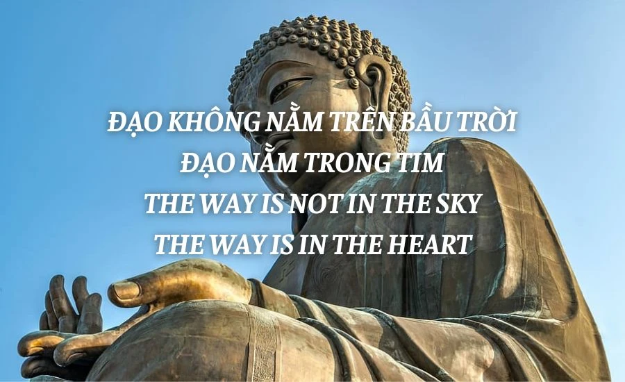 stuart dennehy tweet media