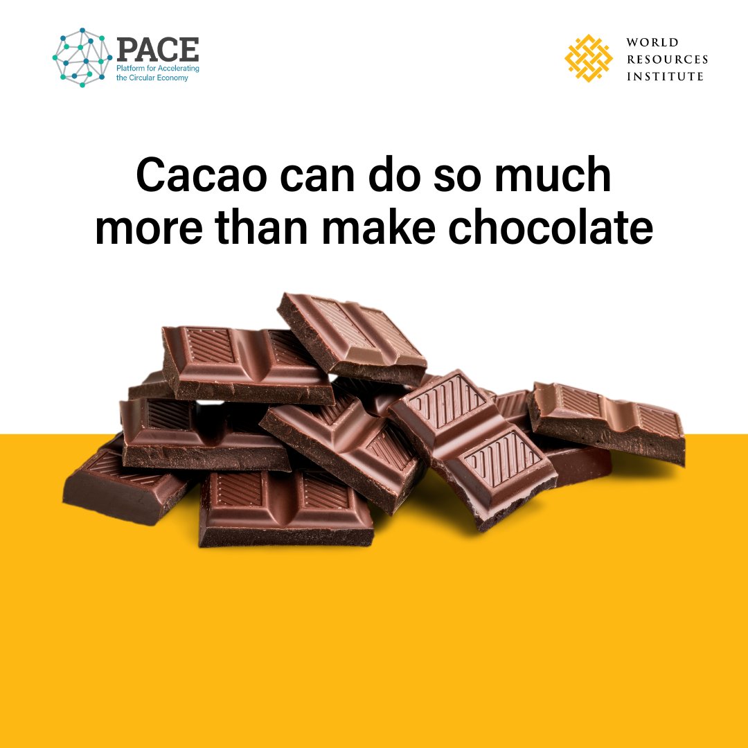 🍫75% of the cacao fruit is wasted during chocolate production. ​💕This #ValentinesDay, @WorldResources & @PACEcircular are giving love to cacao byproducts that could help with sustainability & #CircularEconomy. Full article: bit.ly/3I0IUNY #LoveChocolateHateWaste!