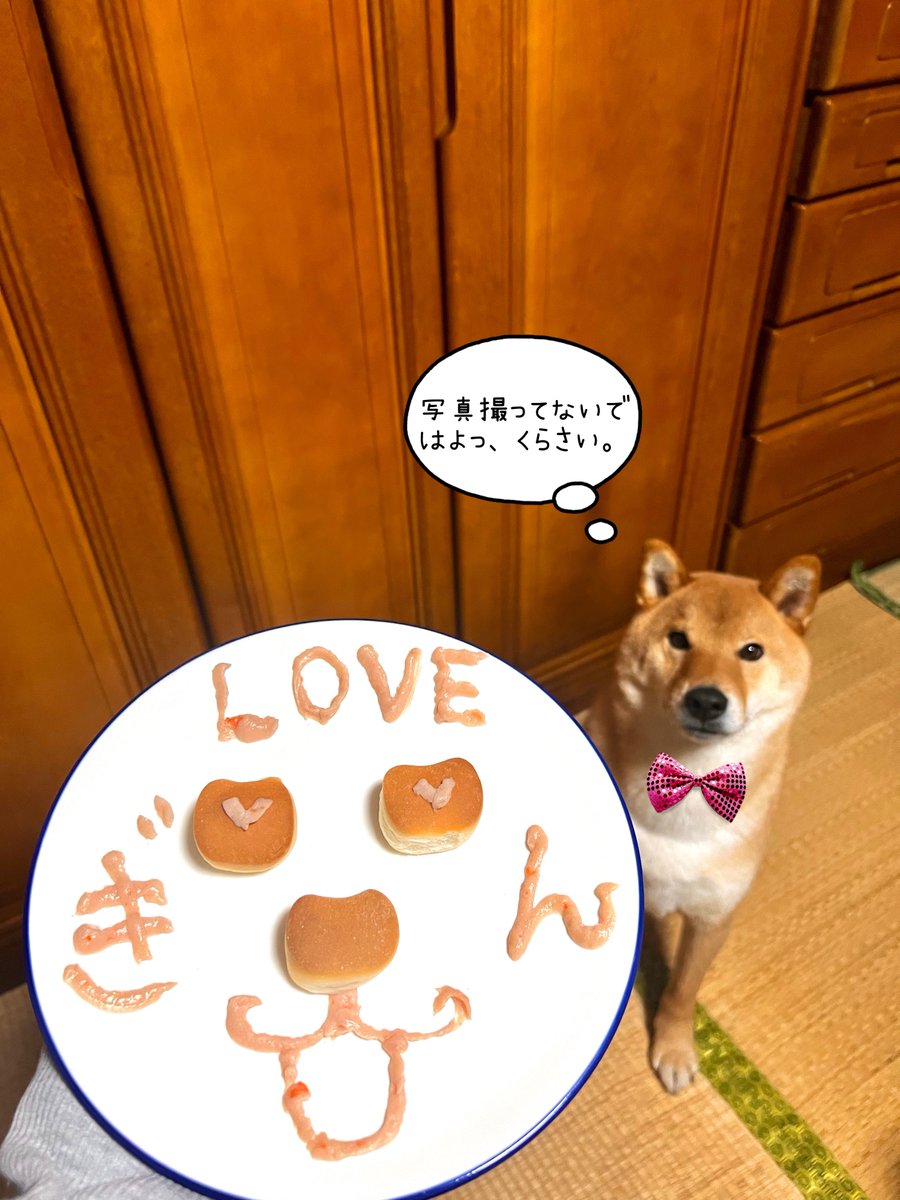 gin1127inu's tweet photo. HappyValentine🫰 https://t.co/x6By2SRANh