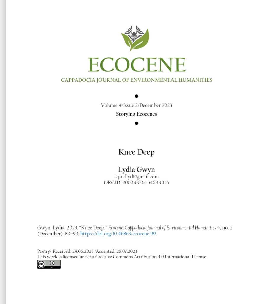Ecocene Journal tweet media