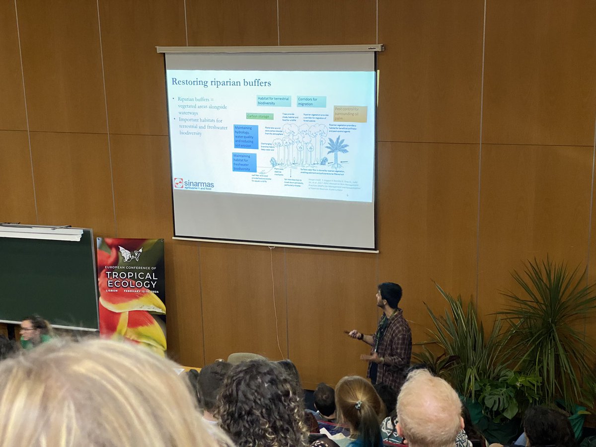 P Orozco-terWengel (@orozcoterwengel) on Twitter photo Today listening to interesting talks about cacao and palm oil production and biodiversity +ecosystem functions, pollinators and more <a href="/soctropecol/">@Tropical Ecology</a> Lisbon 2025; challenging problems and bold solutions from the new generation of ecologists/conservationists! Today listening to interesting talks about cacao and palm oil production and biodiversity +ecosystem functions, pollinators and more <a href="/soctropecol/">@Tropical Ecology</a> Lisbon 2025; challenging problems and bold solutions from the new generation of ecologists/conservationists!