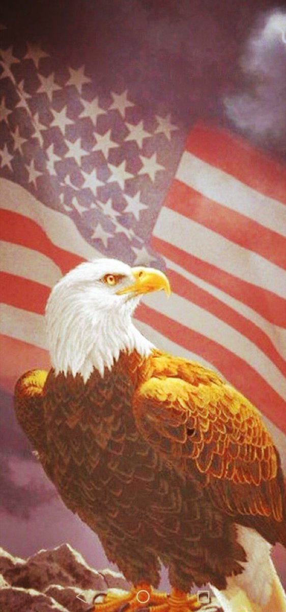 PatriotDave77's tweet photo. 🔥 GOOD MORNING ☕☀️ 

WEDNESDAY MAGA TRAIN FOR PATRIOTS 🚂

DROP YOUR HANDLE &amp; EMOJI 🔥 RETWEET! 🔄 &amp; FOLLOW! 

HAPPY VALENTINE'S DAY! 💟

LET'S ROLL!! 🔥 🚂 🚂 🚂

#2A
#MAGA
#Trump2024
#AmericaFirst
#CloseTheBorder
#CloseTheBorderNOW
#PeaceThroughStrength
#TrumpNowMoreThanEver https://t.co/mcTKLo5kGQ