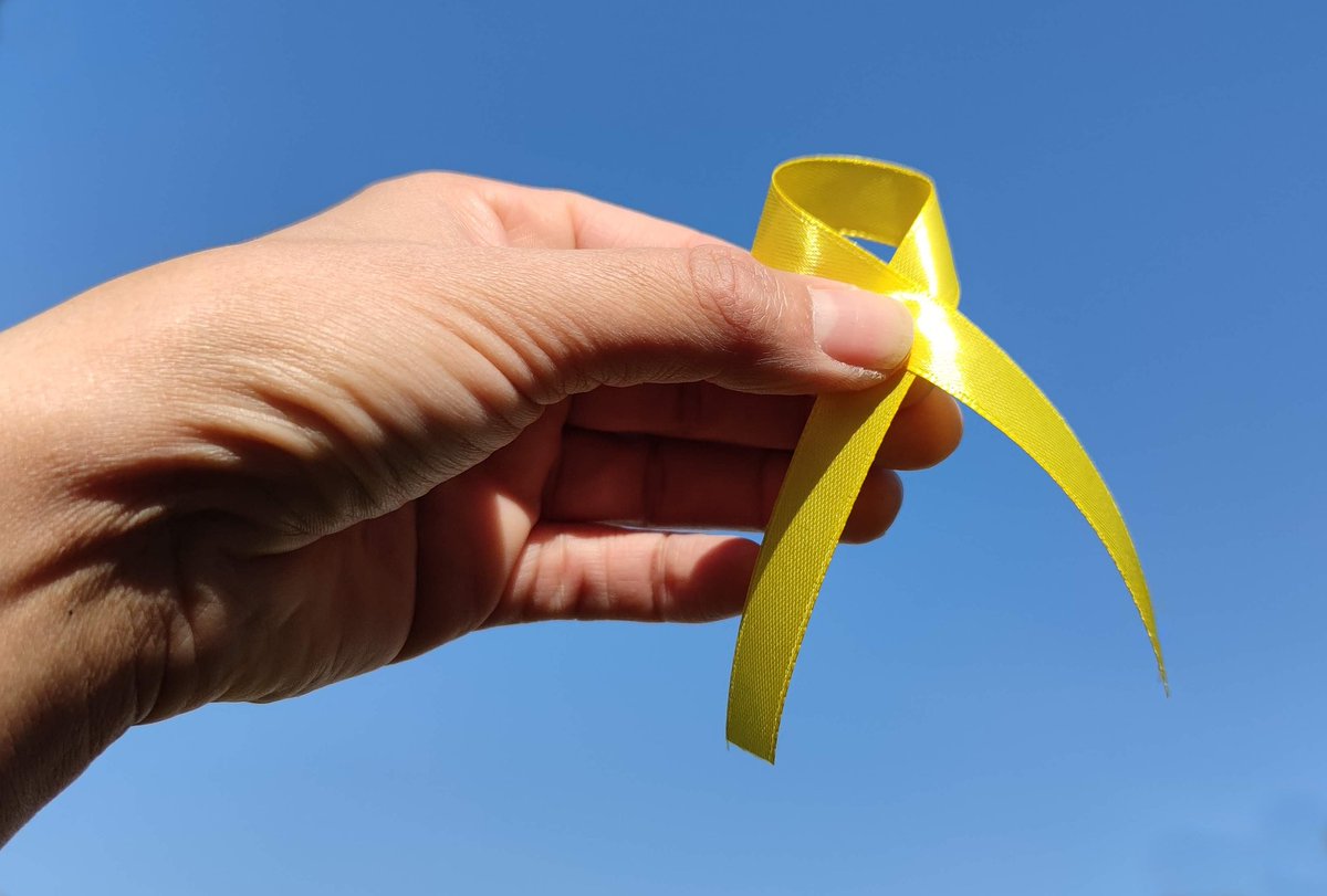 PascaleBoyerEM's tweet photo. 🎗️ Ce 15 février marque la Journée internationale du #cancer de l'enfant. On dénombre près de 2500 nouveaux cas chaque année en France. Je tiens à apporter mon soutien aux enfants et adolescents atteints du cancer ainsi qu’à leurs familles.
@LigueCancer05 https://t.co/B5cCIsE9OC