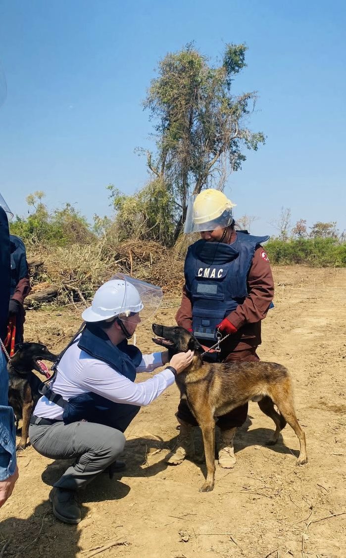 AndreasZurbrugg's tweet photo. Brave doggies helping clear landmines and UXO with #CMAC.  🐕 #MineAction #ClearingforResults https://t.co/r2KuPfBAed